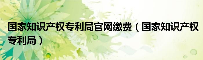 国家知识产权专利局官网缴费（国家知识产权专利局）