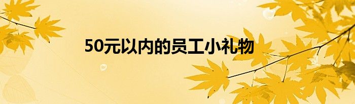 50元以内的员工小礼物