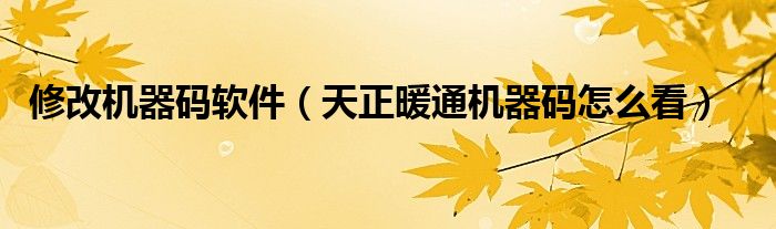 修改机器码软件（天正暖通机器码怎么看）