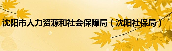 沈阳市人力资源和社会保障局（沈阳社保局）