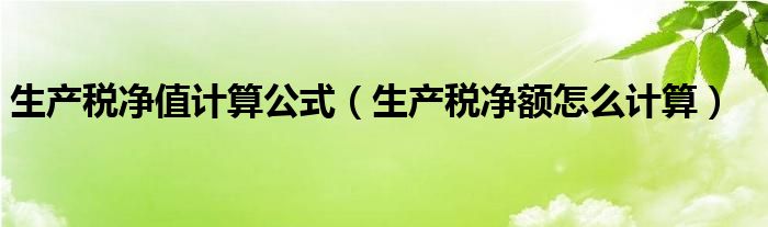 生产税净值计算公式（生产税净额怎么计算）