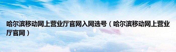 哈尔滨移动网上营业厅官网入网选号（哈尔滨移动网上营业厅官网）