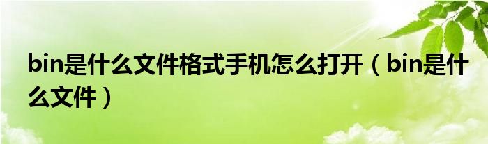 bin是什么文件格式手机怎么打开（bin是什么文件）