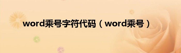 word乘号字符代码（word乘号）