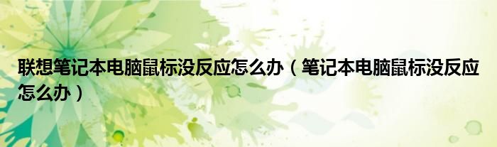 联想笔记本电脑鼠标没反应怎么办（笔记本电脑鼠标没反应怎么办）