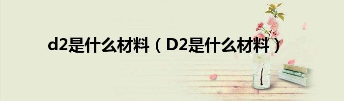 d2是什么材料（D2是什么材料）