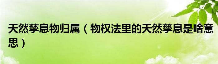 天然孳息物归属（物权法里的天然孳息是啥意思）