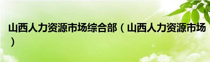 山西人力资源市场综合部（山西人力资源市场）