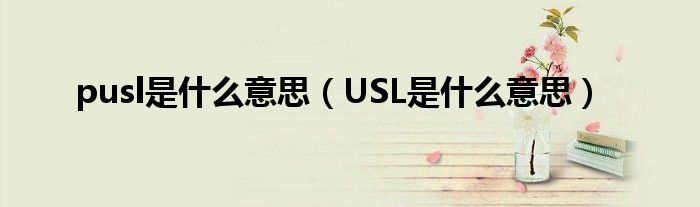 pusl是什么意思（USL是什么意思）