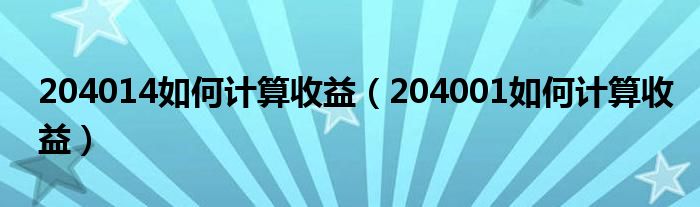 204014如何计算收益（204001如何计算收益）