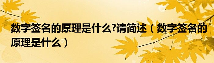 数字签名的原理是什么?请简述（数字签名的原理是什么）