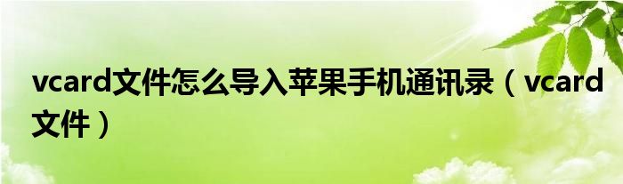 vcard文件怎么导入苹果手机通讯录（vcard文件）