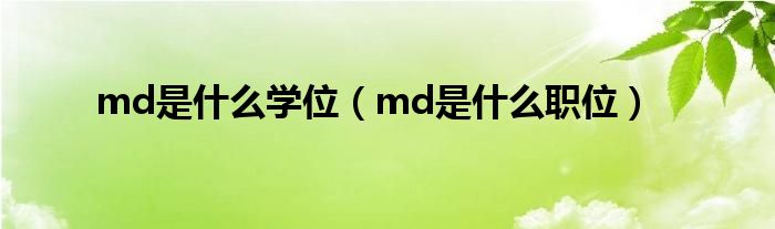 md是什么学位（md是什么职位）