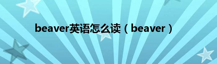 beaver英语怎么读（beaver）