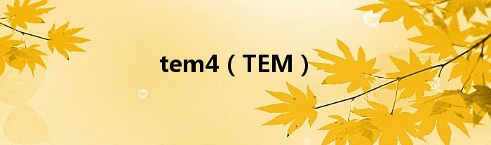 tem4（TEM）