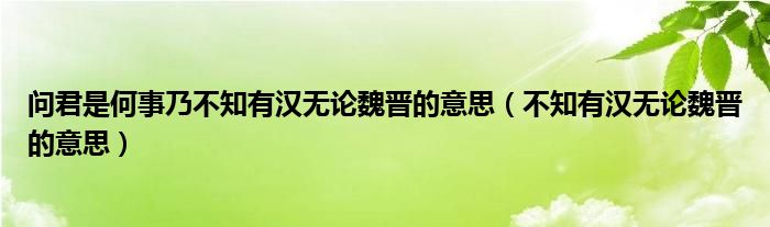 问君是何事乃不知有汉无论魏晋的意思（不知有汉无论魏晋的意思）