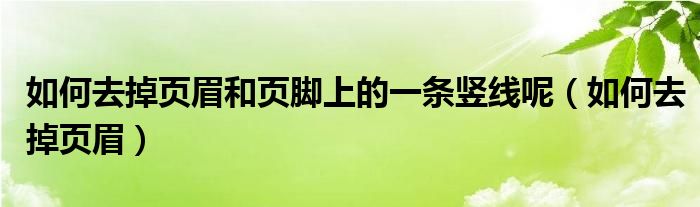 如何去掉页眉和页脚上的一条竖线呢（如何去掉页眉）