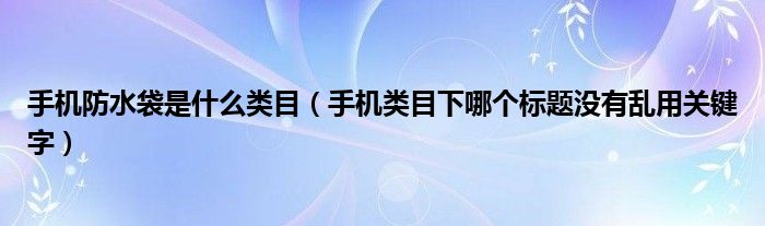 手机防水袋是什么类目（手机类目下哪个标题没有乱用关键字）