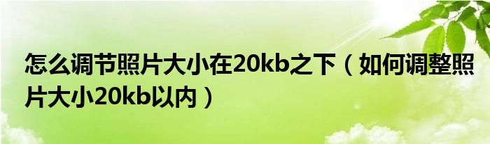 怎么调节照片大小在20kb之下（如何调整照片大小20kb以内）