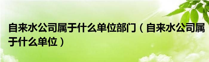 自来水公司属于什么单位部门（自来水公司属于什么单位）