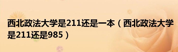 西北政法大学是211还是一本（西北政法大学是211还是985）