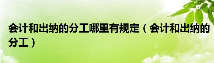 会计和出纳的分工哪里有规定（会计和出纳的分工）