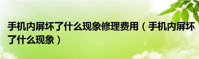 手机内屏坏了什么现象修理费用（手机内屏坏了什么现象）