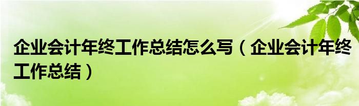 企业会计年终工作总结怎么写（企业会计年终工作总结）