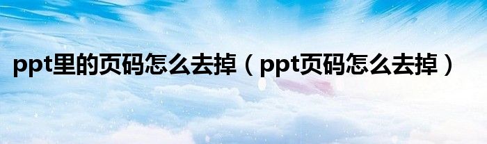 ppt里的页码怎么去掉（ppt页码怎么去掉）