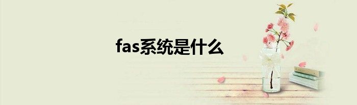 fas系统是什么