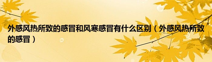 外感风热所致的感冒和风寒感冒有什么区别（外感风热所致的感冒）