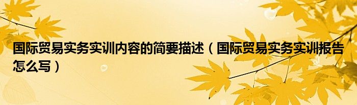 国际贸易实务实训内容的简要描述（国际贸易实务实训报告怎么写）