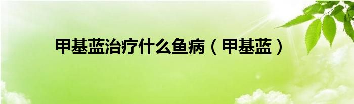 甲基蓝治疗什么鱼病（甲基蓝）