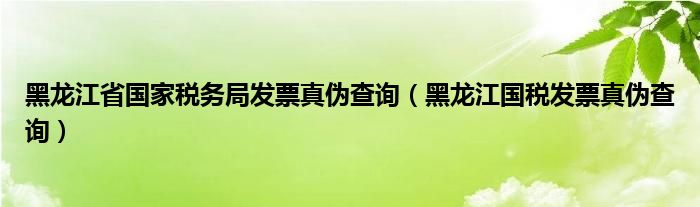 黑龙江省国家税务局发票真伪查询（黑龙江国税发票真伪查询）