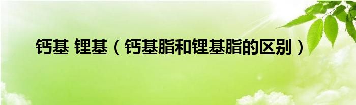 钙基 锂基（钙基脂和锂基脂的区别）