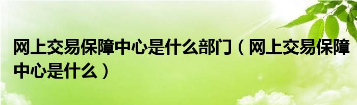 网上交易保障中心是什么部门（网上交易保障中心是什么）