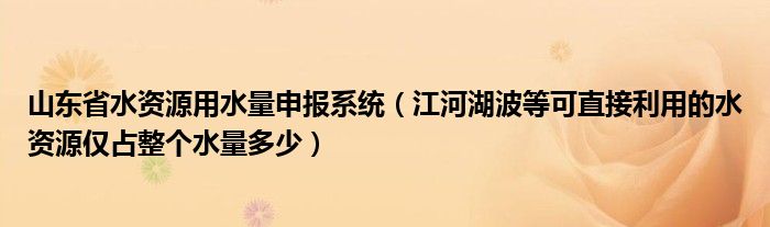 山东省水资源用水量申报系统（江河湖波等可直接利用的水资源仅占整个水量多少）