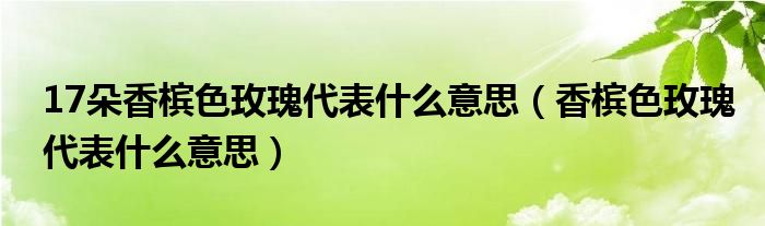 17朵香槟色玫瑰代表什么意思（香槟色玫瑰代表什么意思）