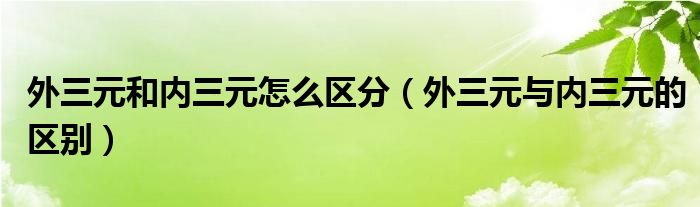 外三元和内三元怎么区分（外三元与内三元的区别）