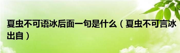 夏虫不可语冰后面一句是什么（夏虫不可言冰出自）