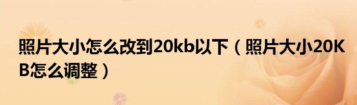 照片大小怎么改到20kb以下（照片大小20KB怎么调整）