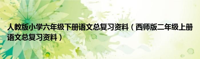 人教版小学六年级下册语文总复习资料（西师版二年级上册语文总复习资料）