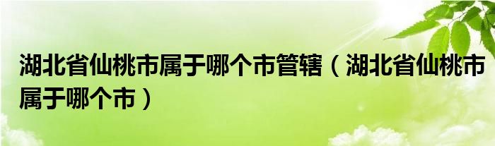 湖北省仙桃市属于哪个市管辖（湖北省仙桃市属于哪个市）