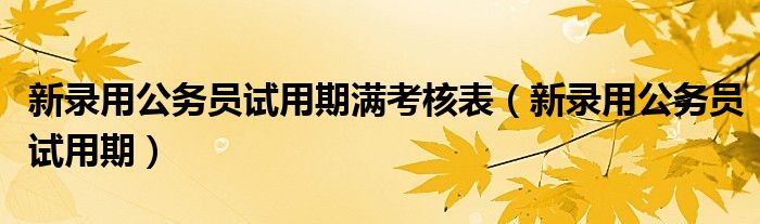 新录用公务员试用期满考核表（新录用公务员试用期）