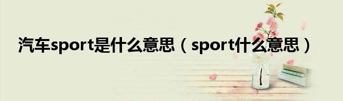 汽车sport是什么意思（sport什么意思）