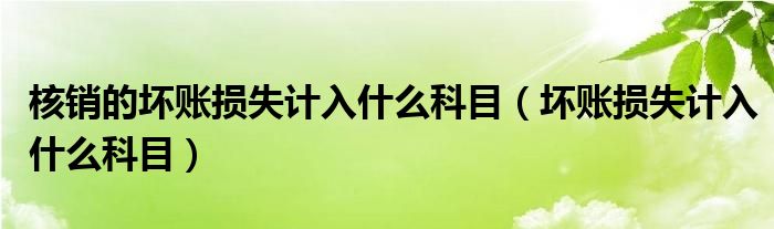 核销的坏账损失计入什么科目（坏账损失计入什么科目）