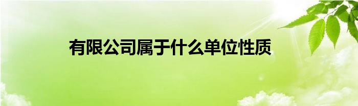 有限公司属于什么单位性质