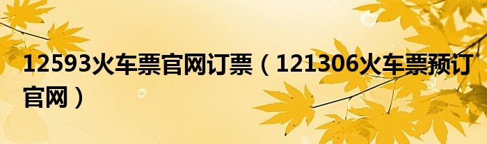 12593火车票官网订票（121306火车票预订官网）