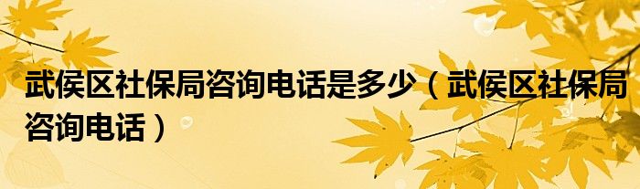 武侯区社保局咨询电话是多少（武侯区社保局咨询电话）