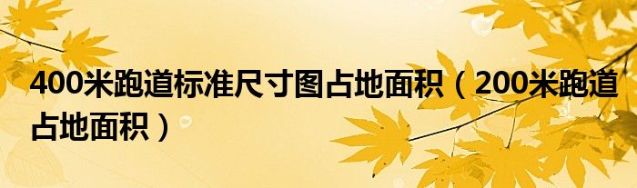 400米跑道标准尺寸图占地面积（200米跑道占地面积）